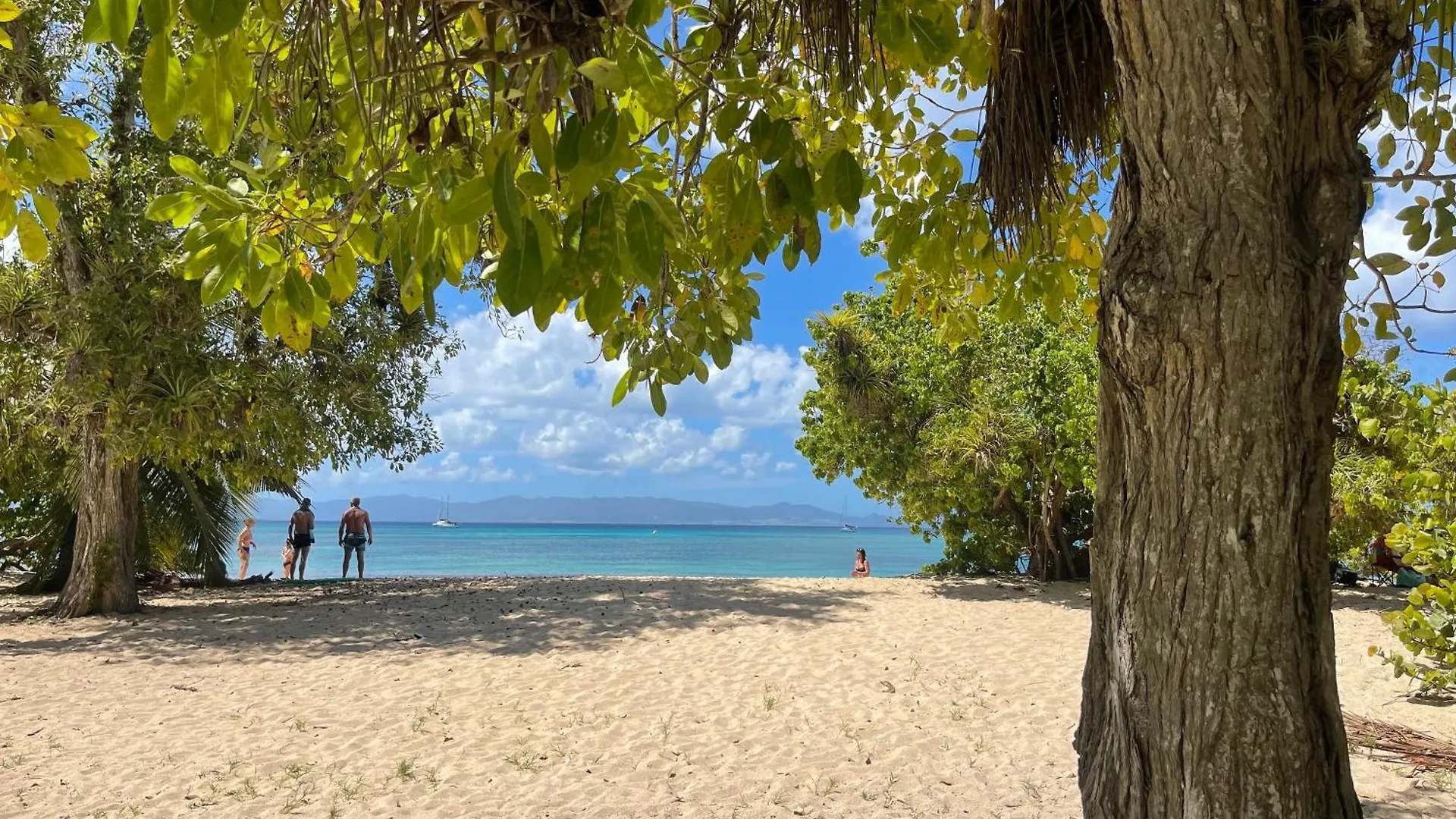 Welcome To Guadeloupe Villa Le Gosier  Guadeloupe